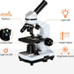 40X-2500X Microscopes for Kids Students Adults Powerful Biological Educational Microscopes with Slides Set Phone Adapter