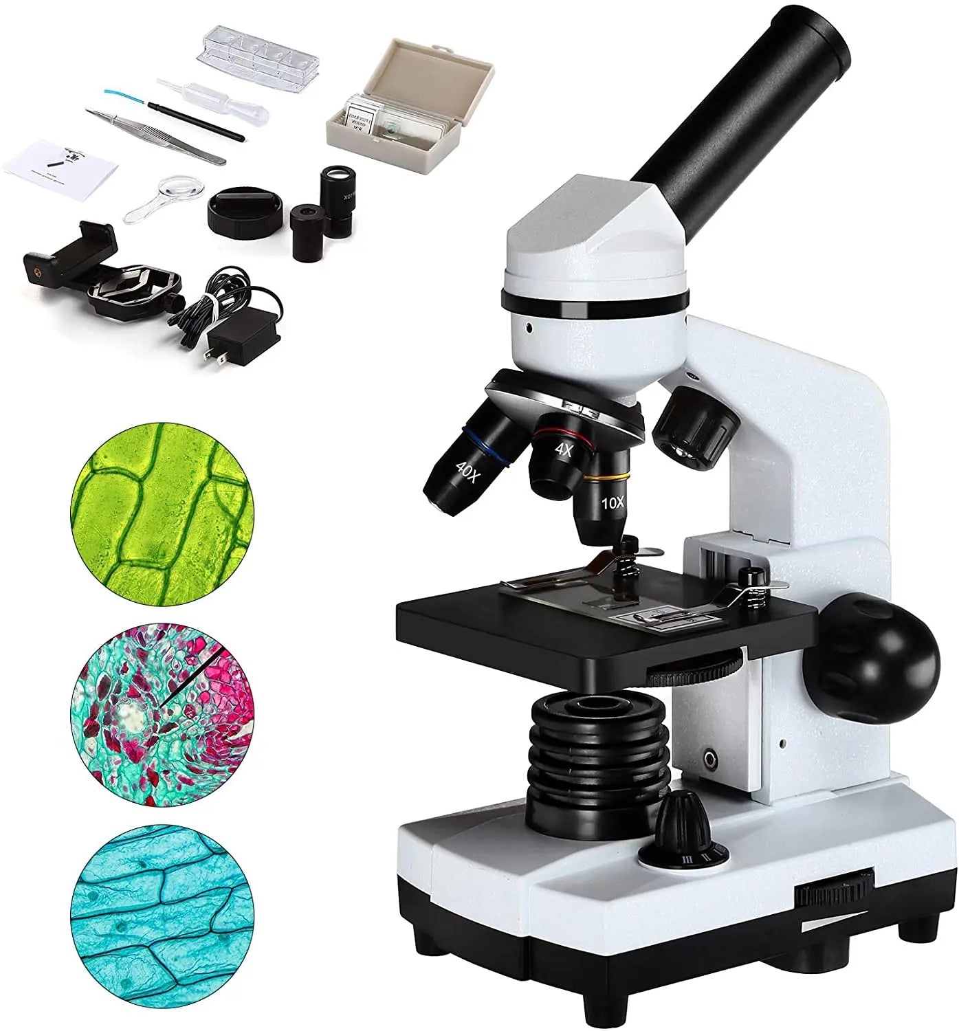 40X-2500X Microscopes for Kids Students Adults Powerful Biological Educational Microscopes with Slides Set Phone Adapter