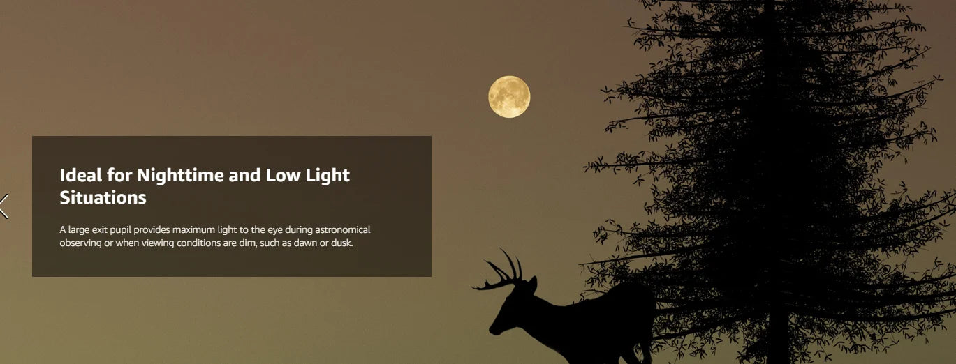 Celestron - 7x50 Bincoulars - Beginner Astronomy Binoculars - Large 50mm Objective Lenses - Wide Field of View 7x Magnification