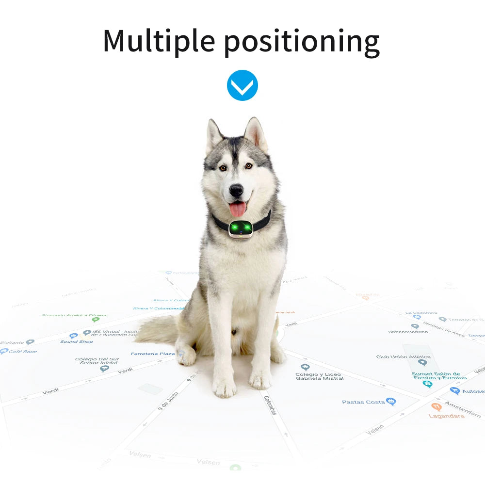 4G Pet Tracker for Dogs Cats Smart Light Sound Finder IP67 Waterproof Anti-Loss Collar with Free APP Real-Time GPS Tracking