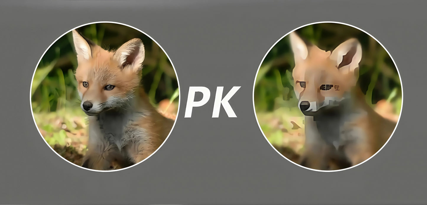 22x40 HD Binoculars for Adults, 2000M Long Range - BAK4 FMC, Compact & Waterproof for Hunting, Bird Watching, Camping