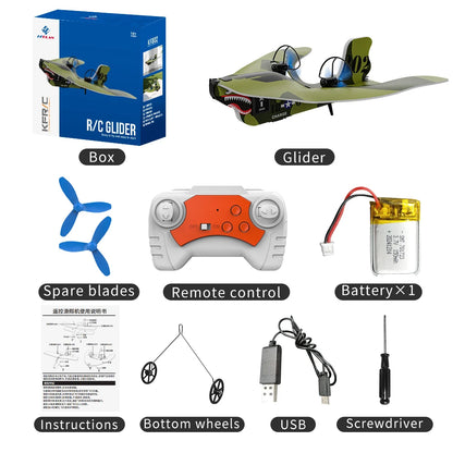 RC Plane 2.4G Remote Control Airplane Flying Model Glider With LED Lights Aircraft Foam Planes RC Toys For Children Gifts