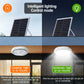 Solar Outdoor Ceiling Lights LED Security Lights with Remote Control Waterproof Solar Flood Wall Lights for Garden Ceiling lamps