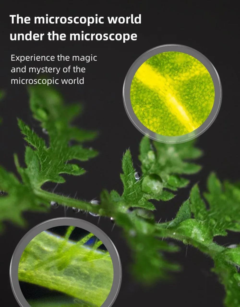 Microscope Portable 1200x HD Eyepiece Kids Science Education Experiment Exploration Set Gift Toys