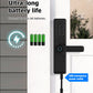 9 languages Smart Electronic Door Lock with Biometric Fingerprint  Interface Tuya Wifi Compatible Home Security
