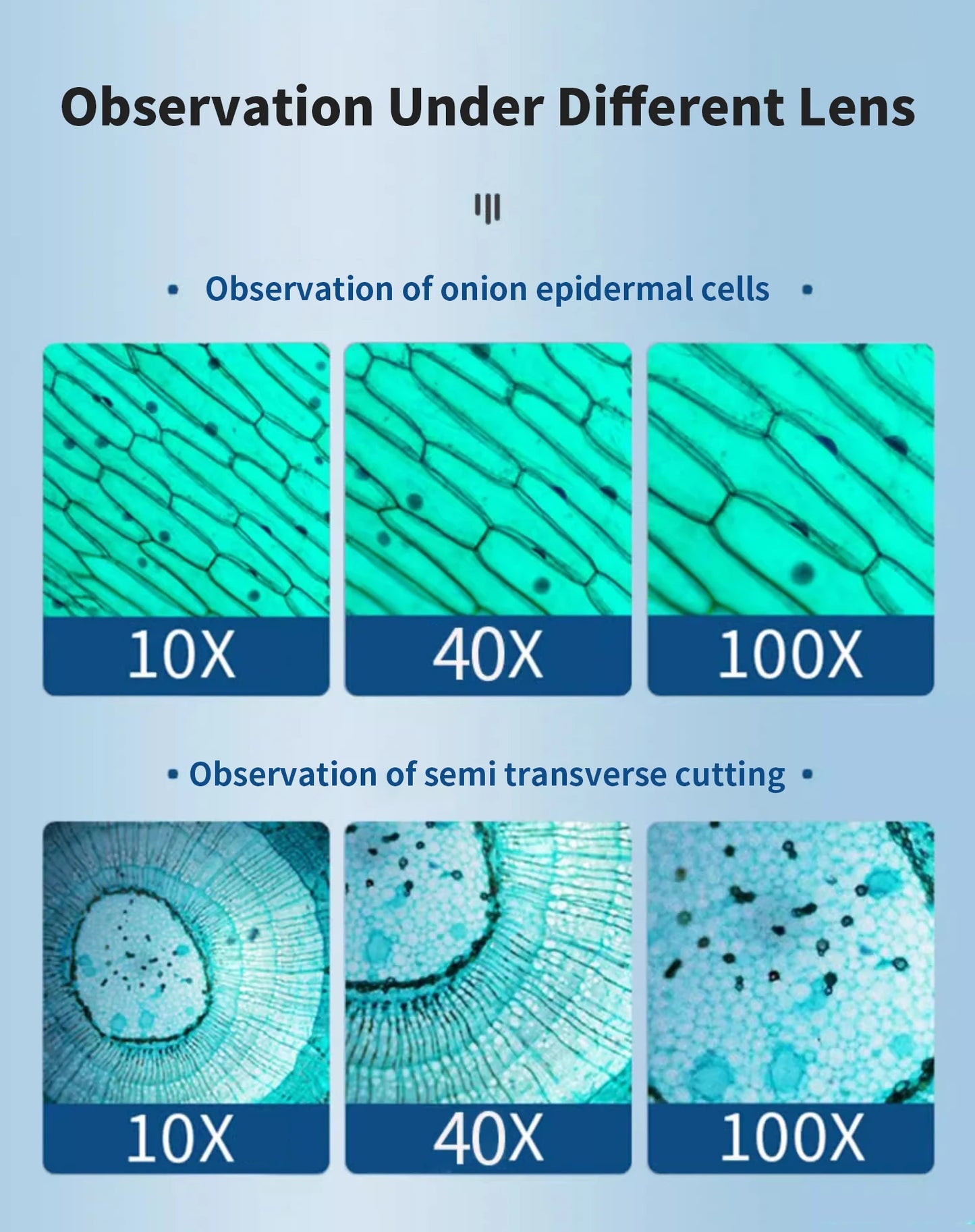 Monocular Optical Microscope 64X-2400X Microscope School Science Experimental Biology Microscope Digital Microscope for Children