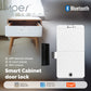 MOES Tuya Smart Lock Bluetooth Keyless Entry with IC Card & APP Control Real-Time Alerts for Cabinet Drawer Wood Door Locker