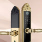 Smart Home Digital Lock Electronic Fingerprint Smart Lock European Home Indoor Door Handle Lock Golden Red Brown Tuya TTlock