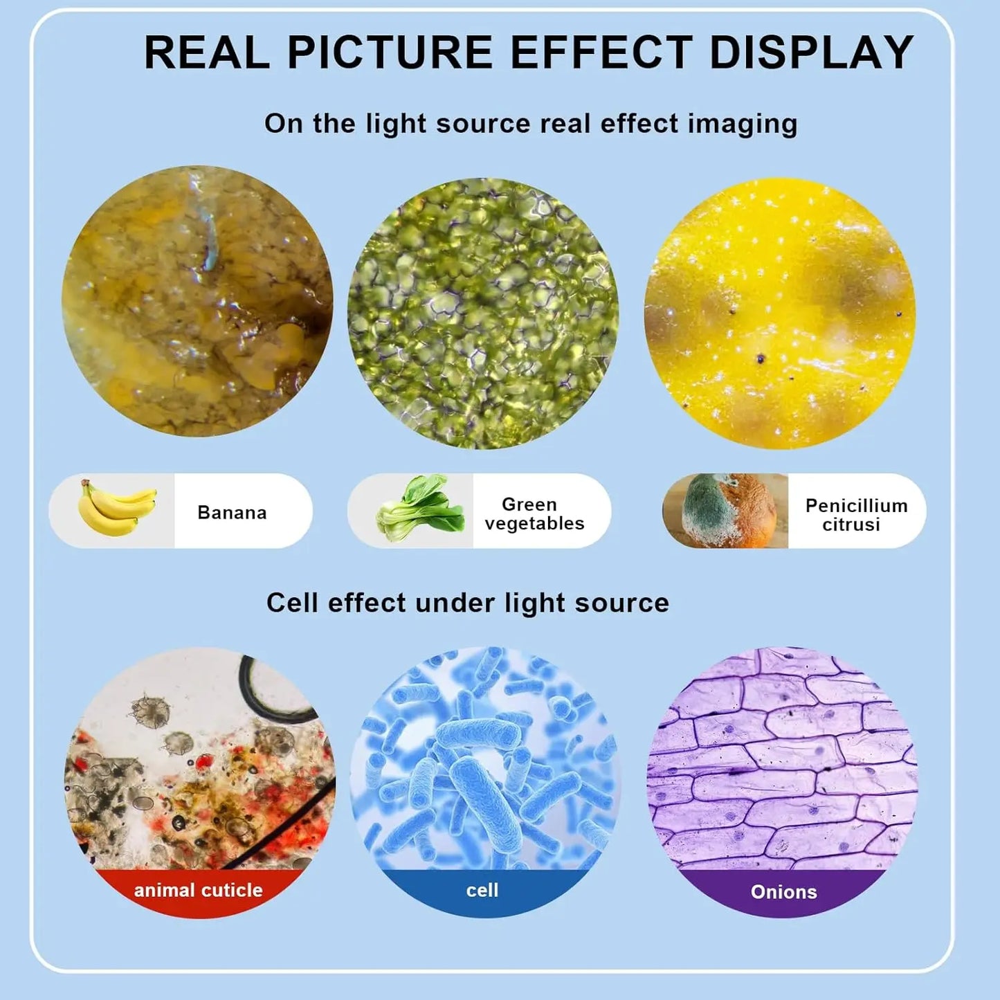 Monocular Optical Microscope 64X-2400X Microscope School Science Experimental Biology Microscope Digital Microscope for Children