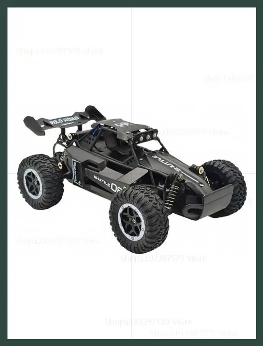 RC Cars 1:16 Remote Control Car 20 Km/h 2WD All-Terrains Electric LED Lights Off-Road Outdoor Vehicle Truck Toys for Kids Adults