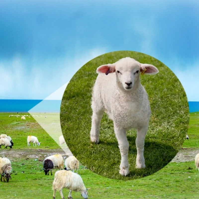 Binoculars auto-focus telescope HD high-magnification micro-light night vision portable outdoor binoculars