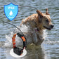 Advanced Dog GPS Tracker | Waterproof & Real-Time Pet Tracking Device | Perfect For Outdoor Adventures