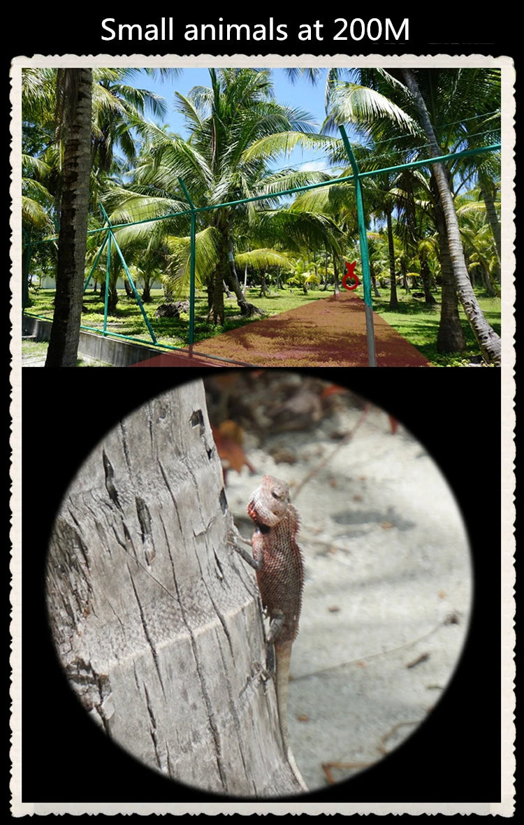 Professional Binoculars Baigish 8x30 10x40 10x50 12x4515x60 20x50 8-24x40 Powerful Military Telescope Long Range Monocular BAK4