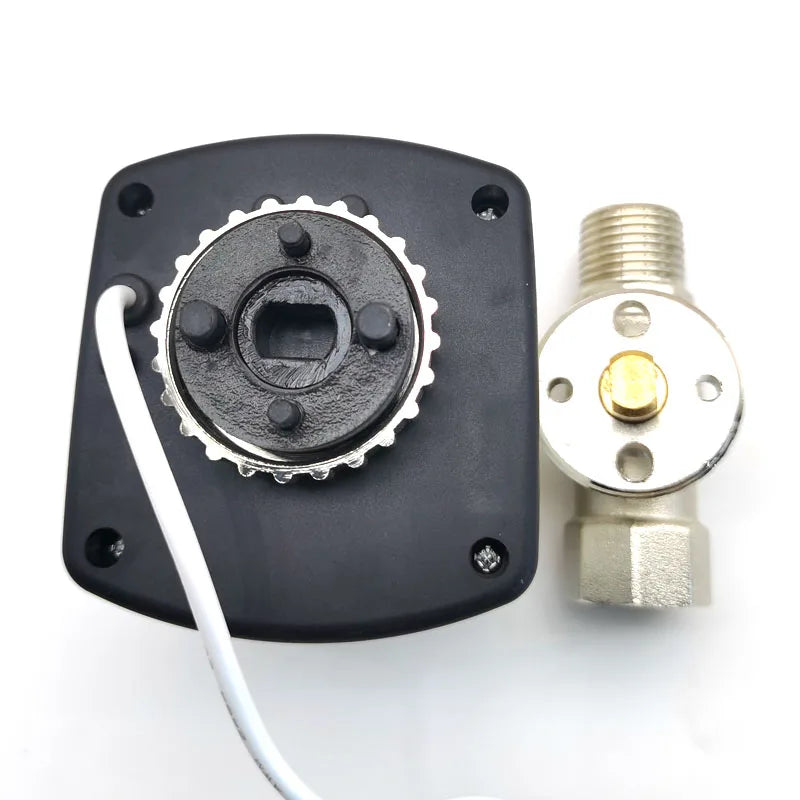 Home Wifi Smart Water Valve Wireless Control Timer Automation Controller DN25 DN32 DN40 Ewelink APP Work with Alexa SmartThings